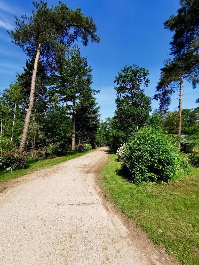 Glamping In Nature By Outdoors Holten Eksteriør billede
