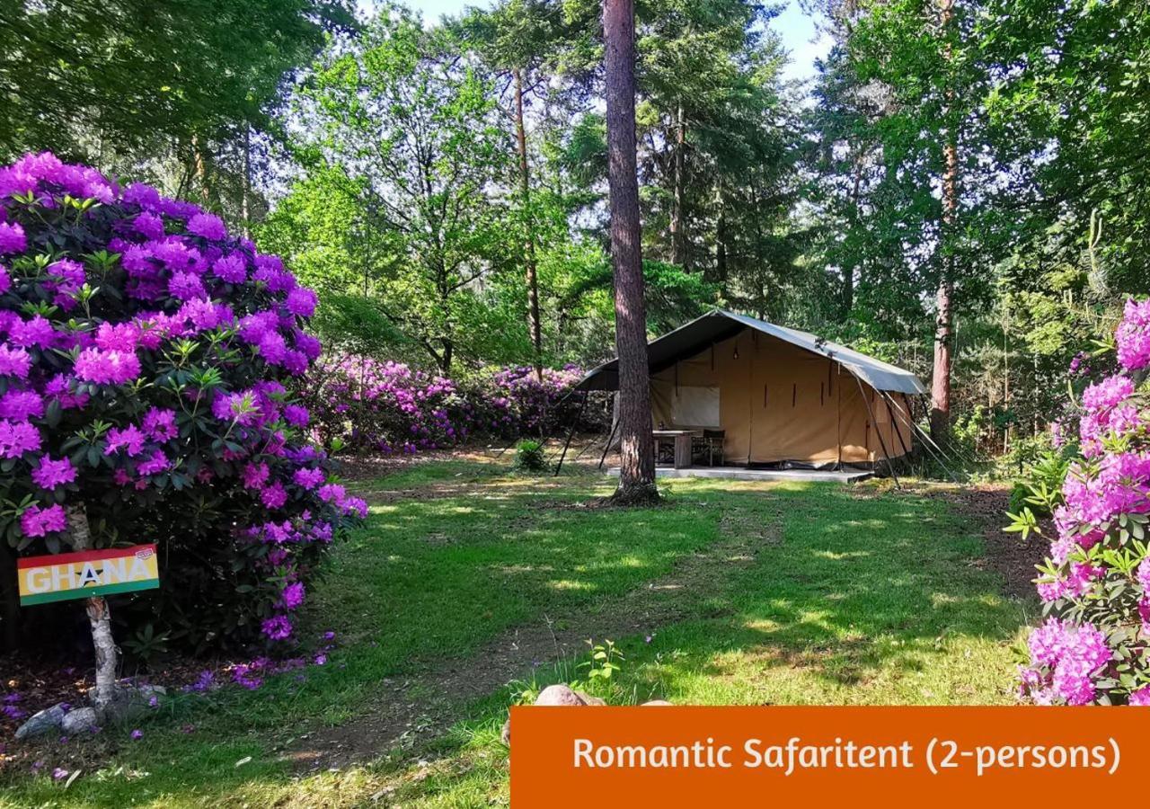 Glamping In Nature By Outdoors Holten Eksteriør billede