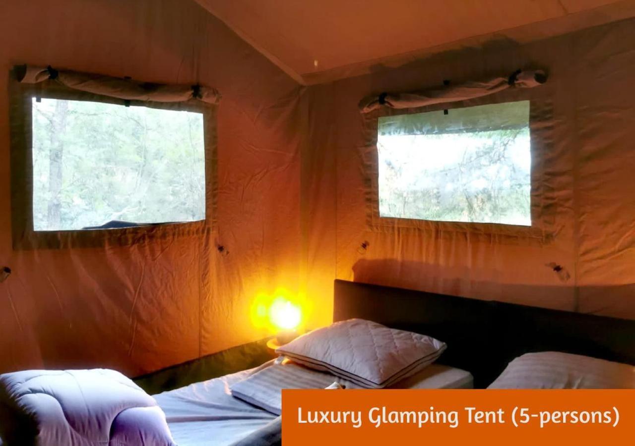 Glamping In Nature By Outdoors Holten Eksteriør billede