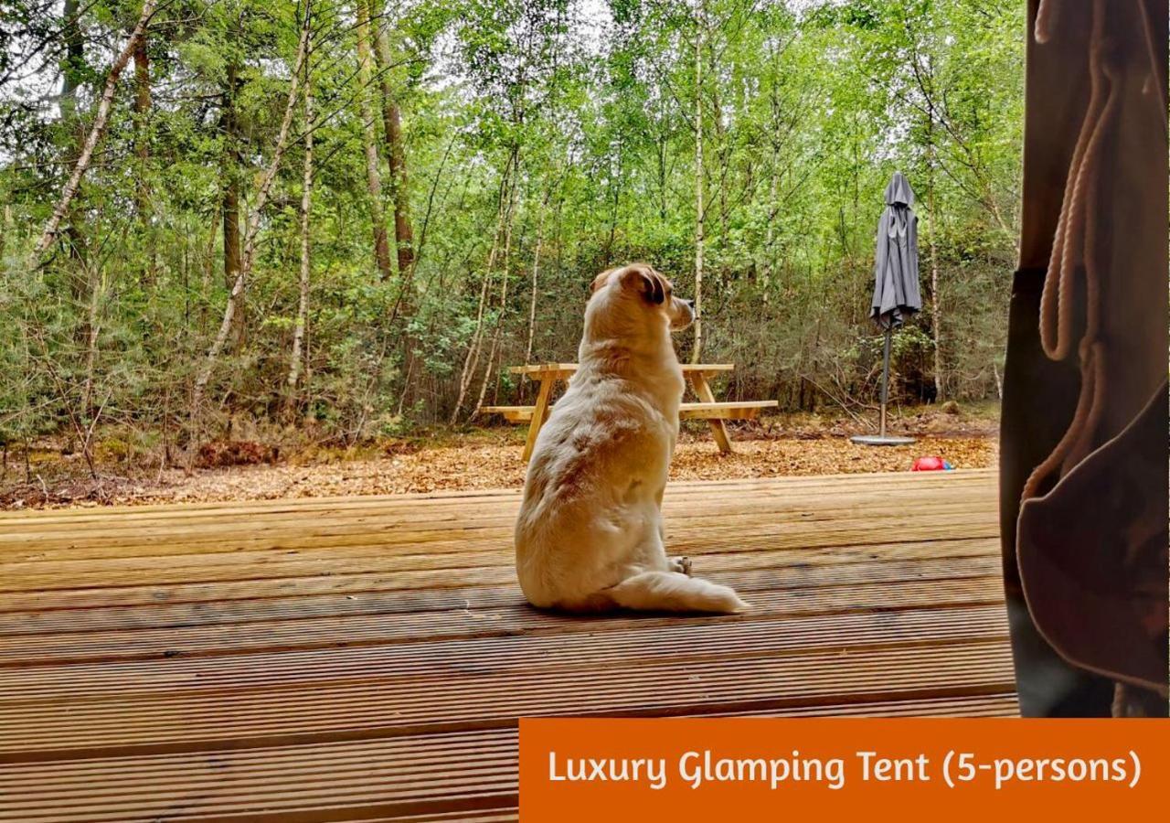 Glamping In Nature By Outdoors Holten Eksteriør billede